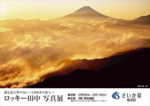 saikaya_201902